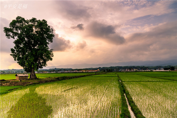 土壤墑情速測儀的使用效果怎么樣？