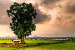 土壤水分速測(cè)儀主要有哪些優(yōu)點(diǎn)？