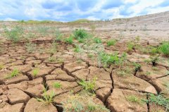 安裝土壤墑情自動監測系統有哪些好處？