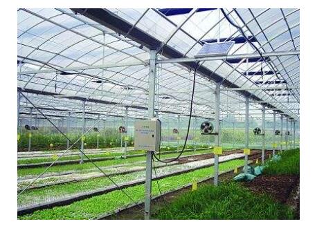 土壤墑情監(jiān)測系統(tǒng)可以指導溫室灌溉嗎