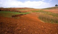 取樣方式不同對土壤墑情監(jiān)測精度有影響嗎？