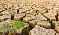 目測土壤墑情？