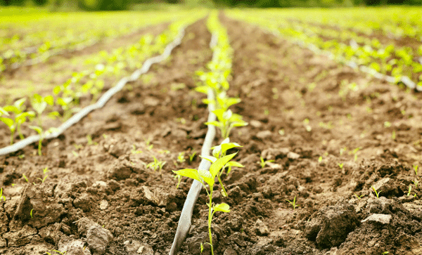 為什么要開展土壤墑情監測工作？