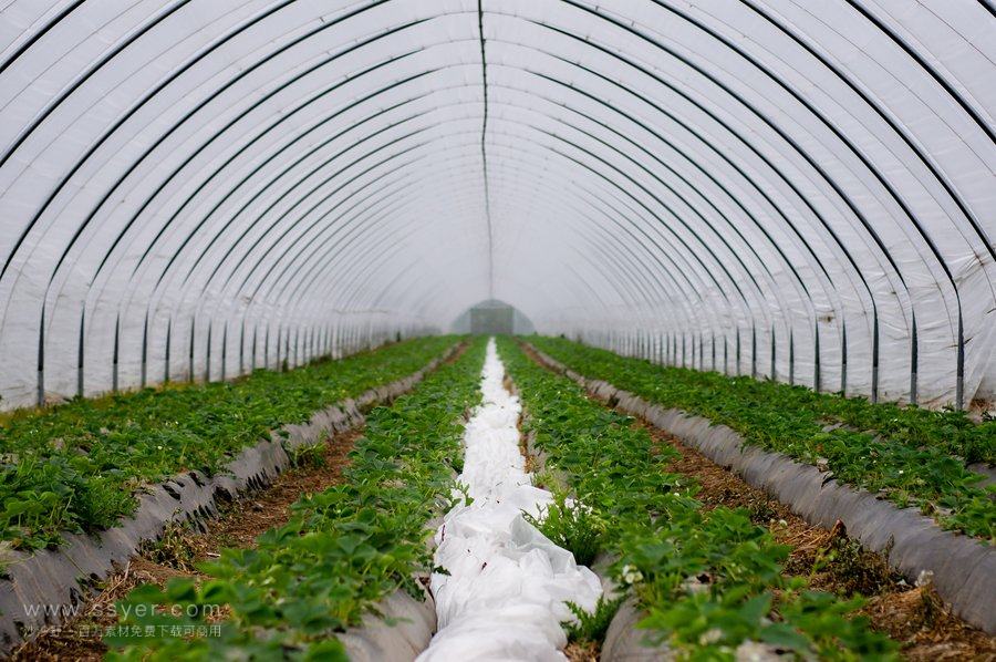 節(jié)水灌溉技術