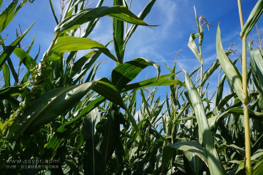 農(nóng)業(yè)節(jié)水，如何用科技支撐？